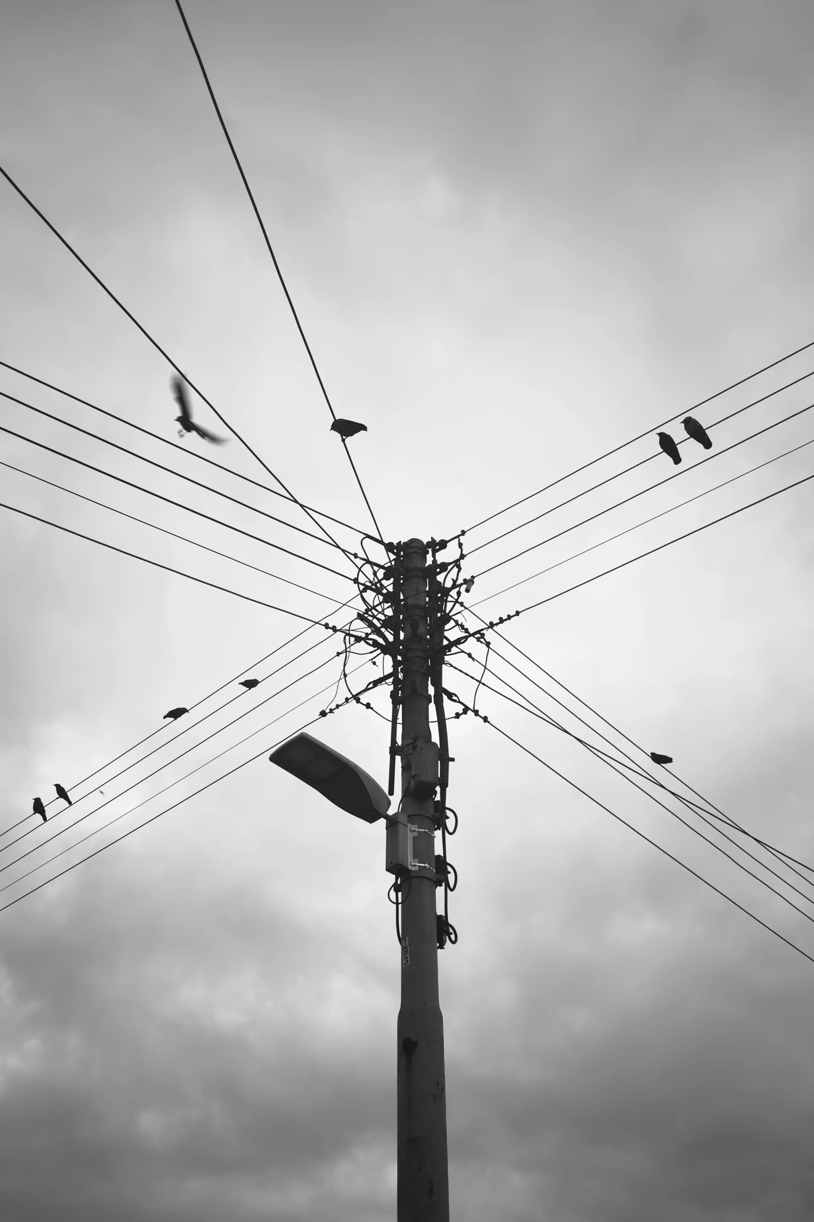 IPHONE 16 PRO MAX - 6.765MM - F1.78 - 1/73 - ISO100 — 11/03/26